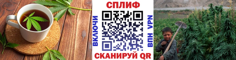 MEGA вход  Порхов  Cannafood конопля 