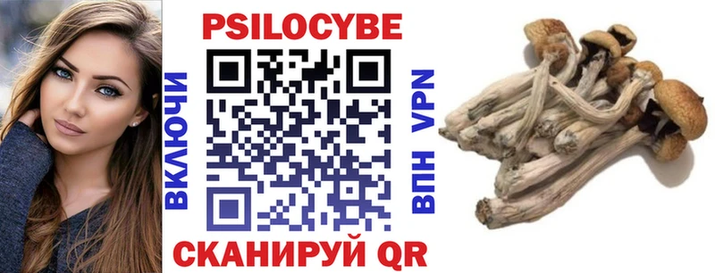 наркота  Порхов  Галлюциногенные грибы прущие грибы 
